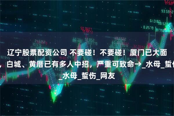 辽宁股票配资公司 不要碰！不要碰！厦门已大面积出现，白城、黄厝已有多人中招，严重可致命→_水母_蜇伤_网友