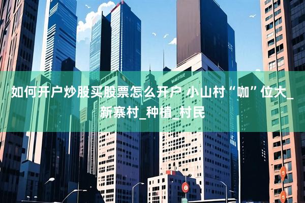 如何开户炒股买股票怎么开户 小山村“咖”位大_新寨村_种植_村民
